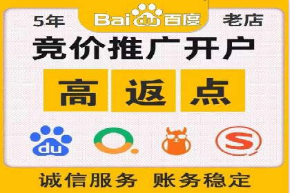 百度竞价代运营公司成功案例揭秘：策略与执行